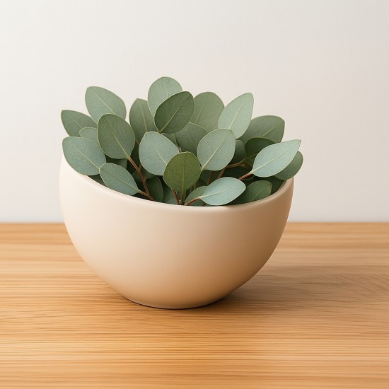 Okaliptüs Sıvı Gıda Aroması